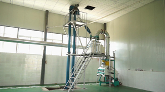 四川德昌核桃，菜籽，茶籽綜合加工生產線